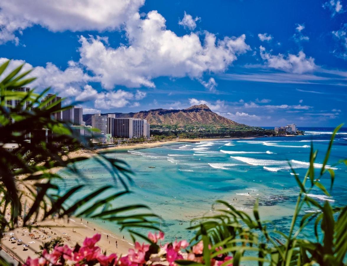 Great Diamond Head Views, 2Br Condo With Free Parking! 호놀룰루 외부 사진